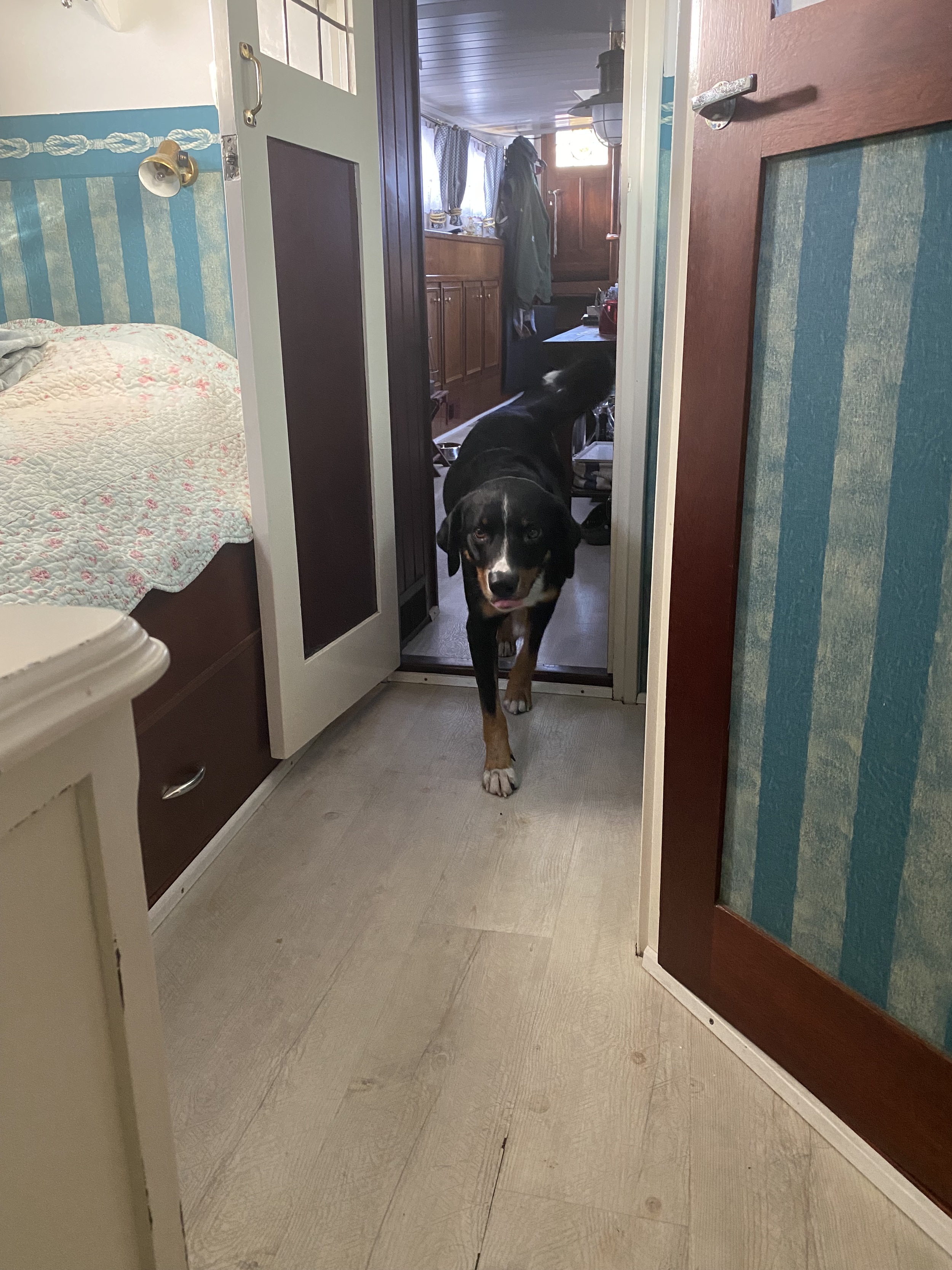 foto: 131 Tjalk 15.50