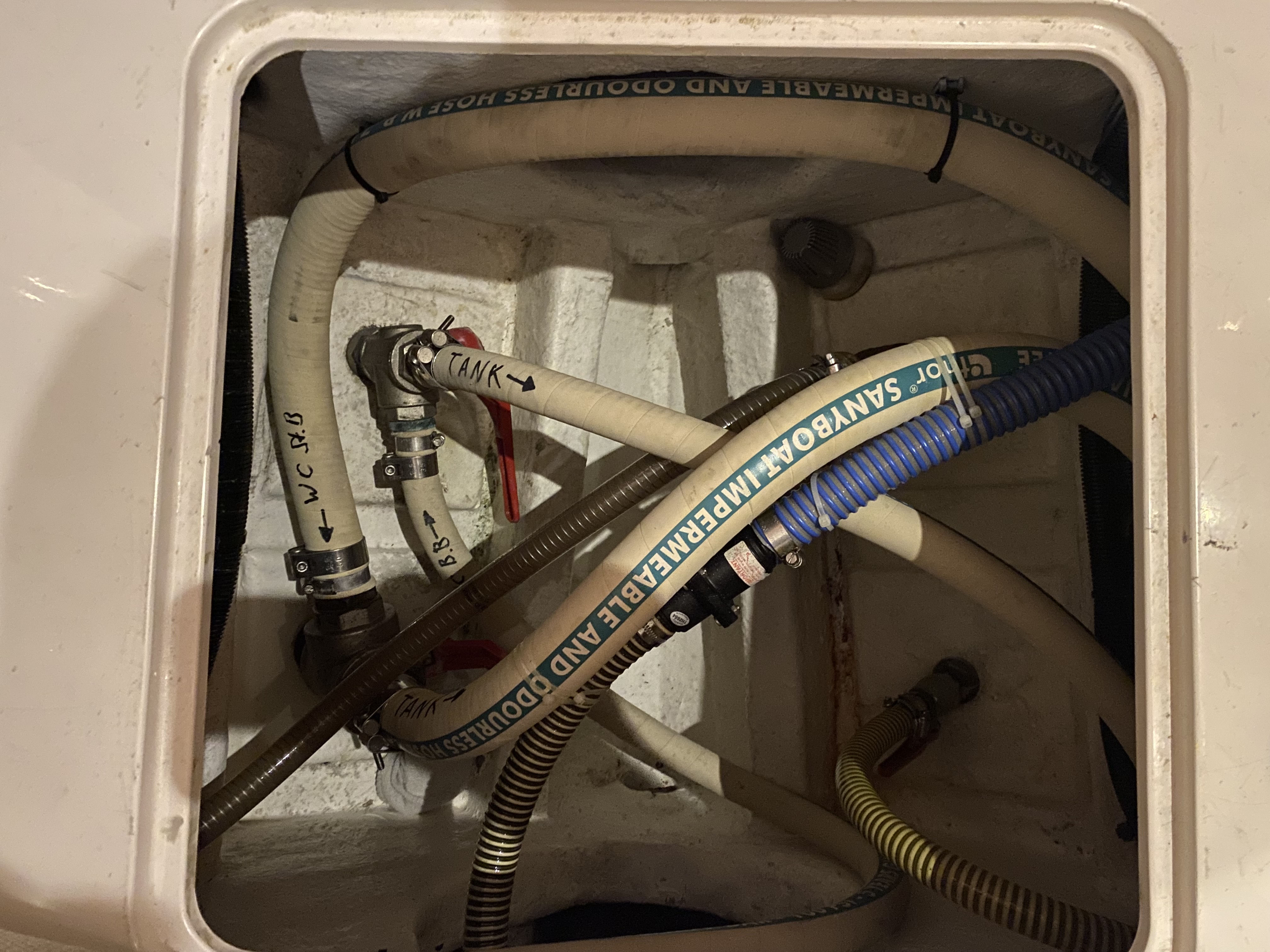 foto: 39 Princess  440