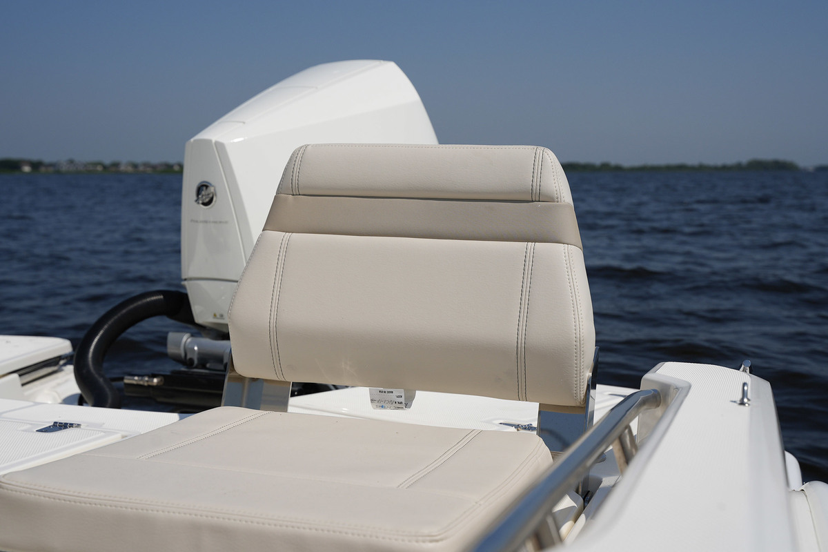 foto: 44 Boston Whaler 250 Dauntless