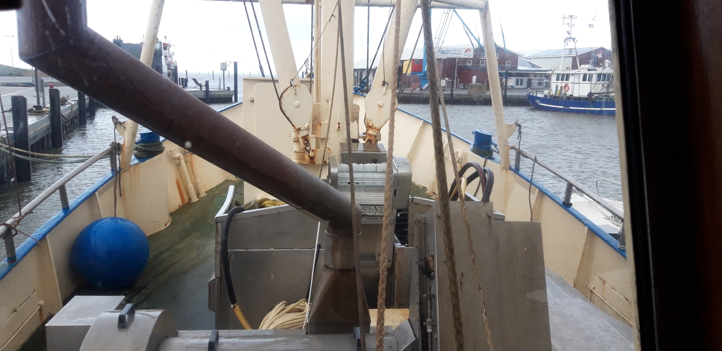 foto: 9 Krabbenkotter 16.70