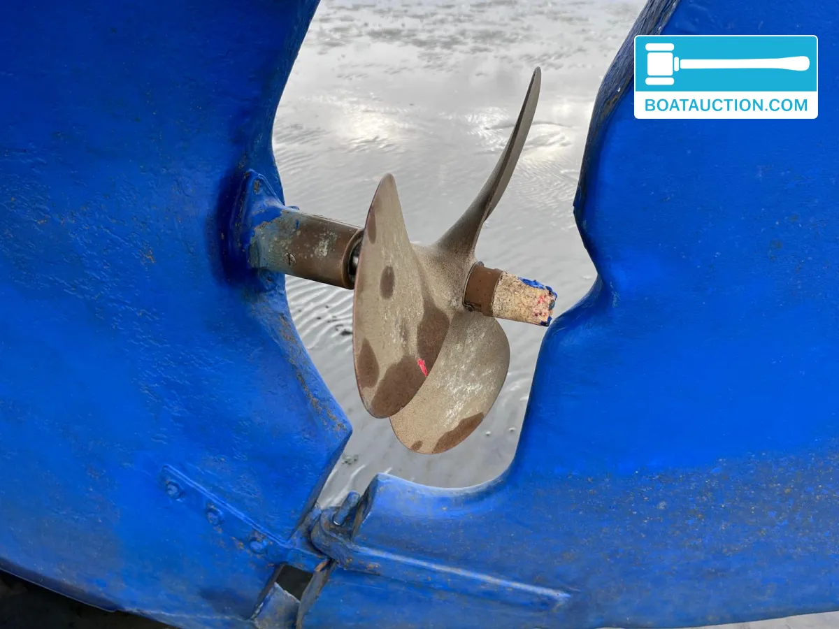 foto: 35 Rossiter Pintail 27