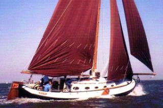foto: 29 Blom Lemsteraak 12.10 Roefaak