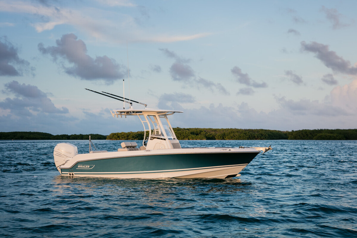 foto: 15 Boston Whaler 230 Outrage