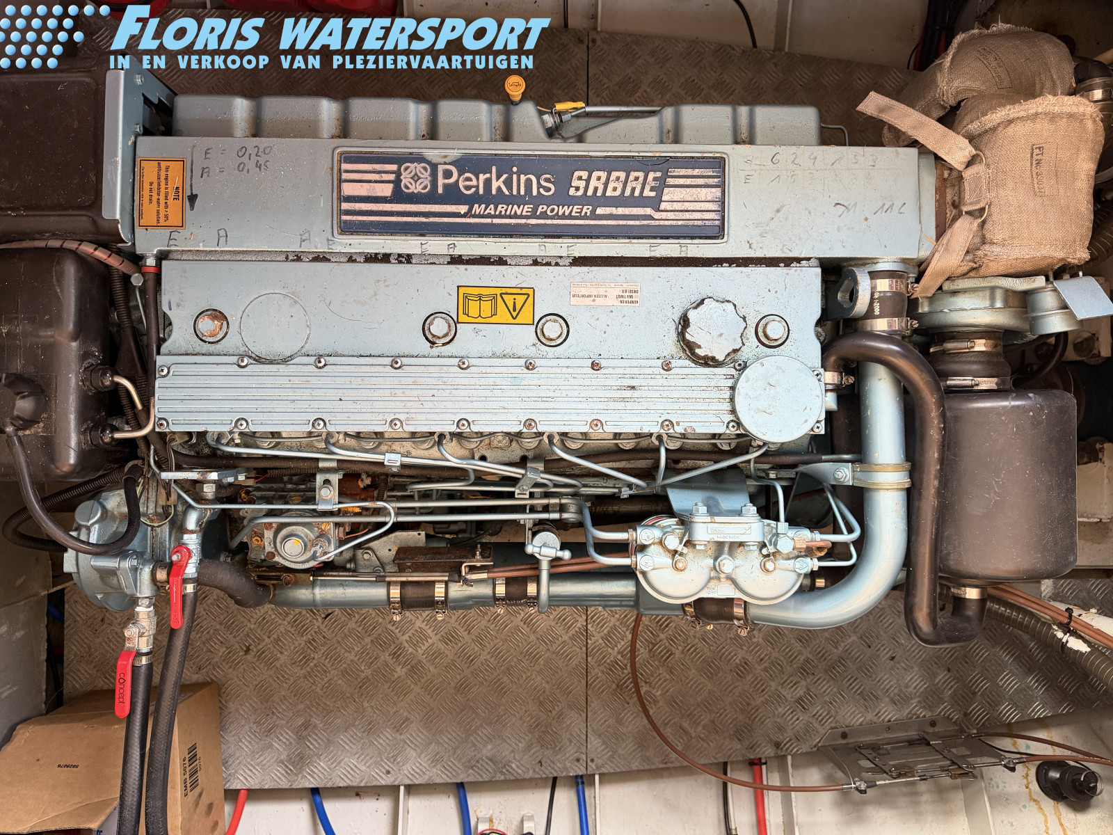 foto: 19 Pedro Donky 36