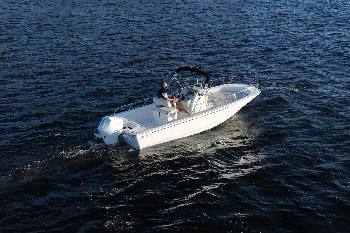 foto: 25 Boston Whaler 210 Montauk