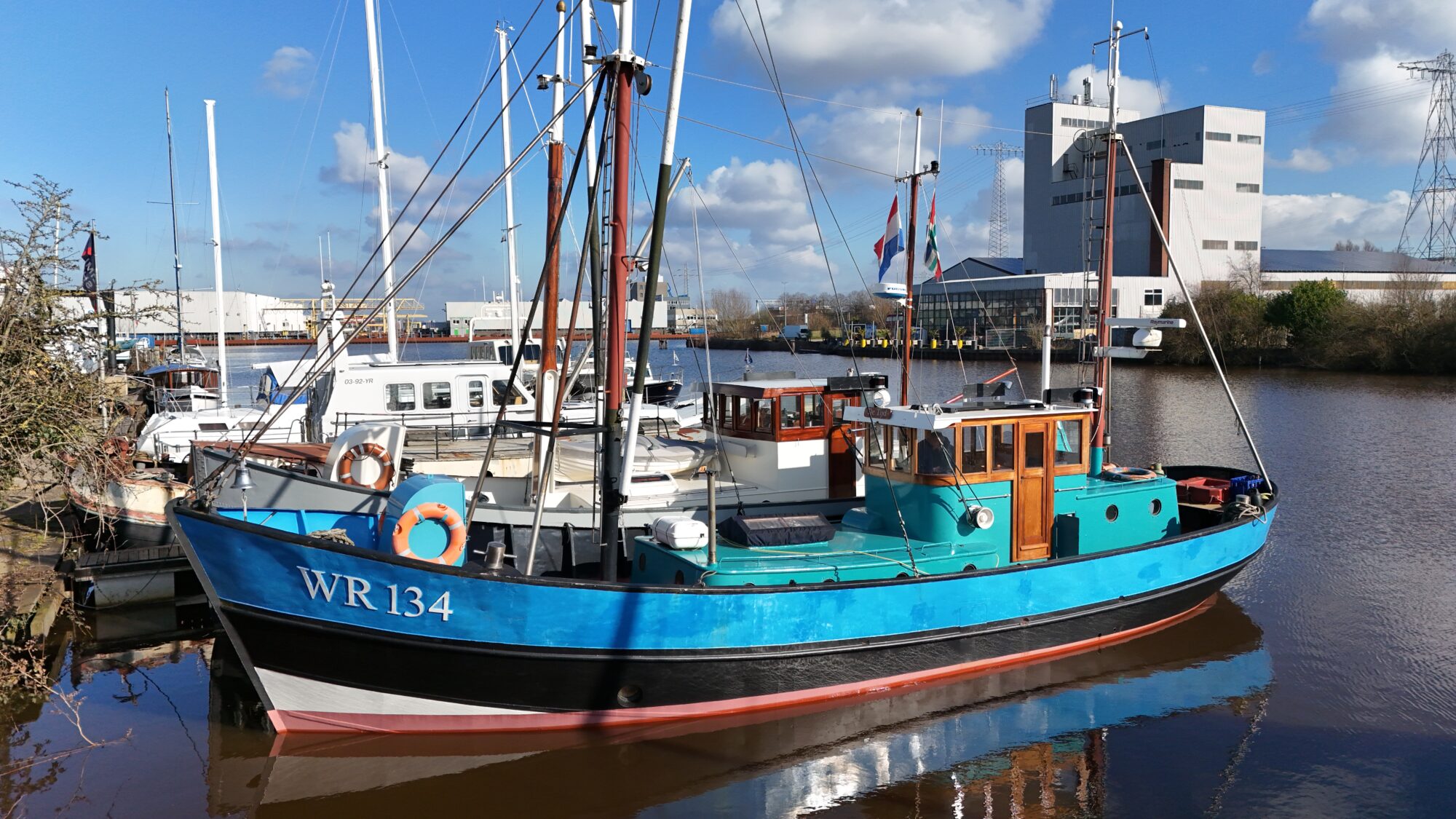 foto: 40 Noordzeekotter Noordzeekotter  ‘WR 134’