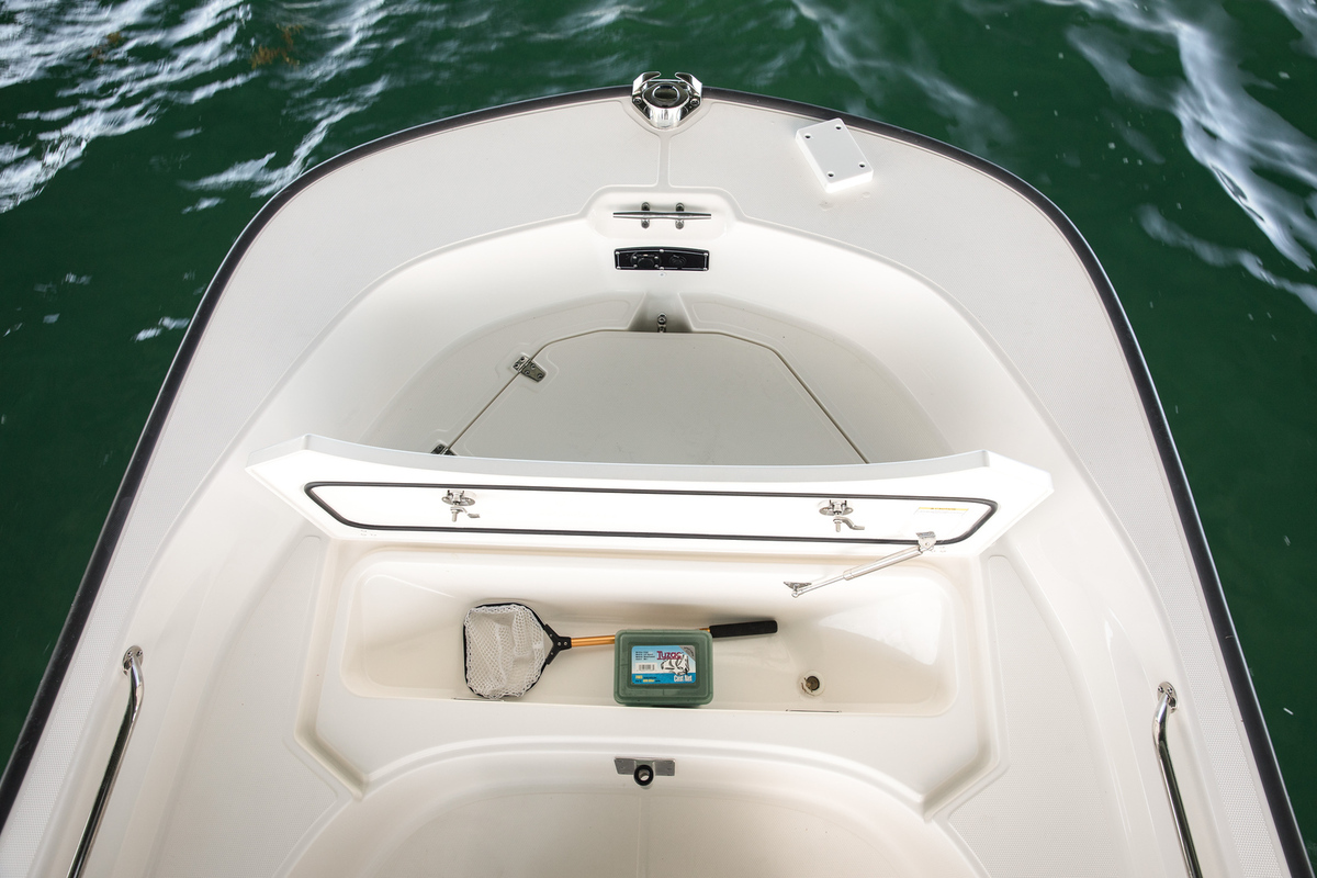 foto: 17 Boston Whaler 170 Montauk