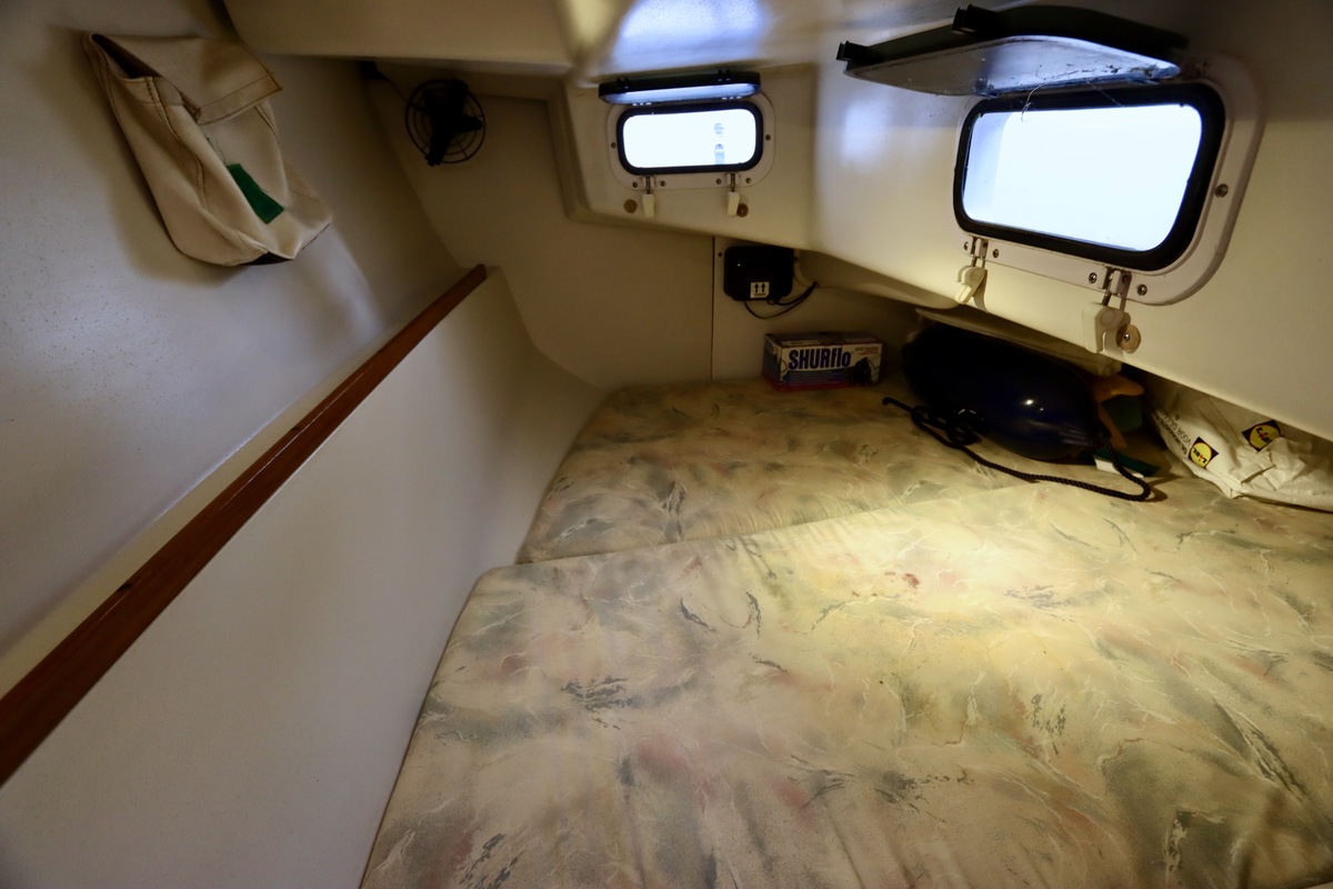 foto: 35 Catalina  270