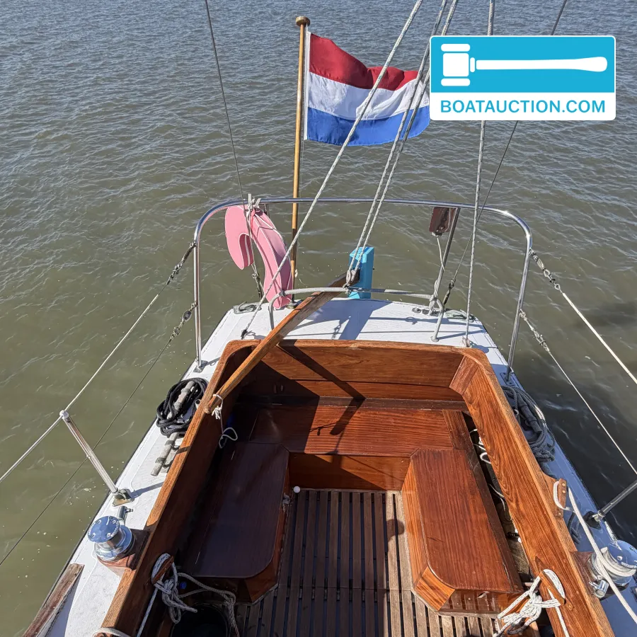 foto: 40 Rossiter Pintail 27