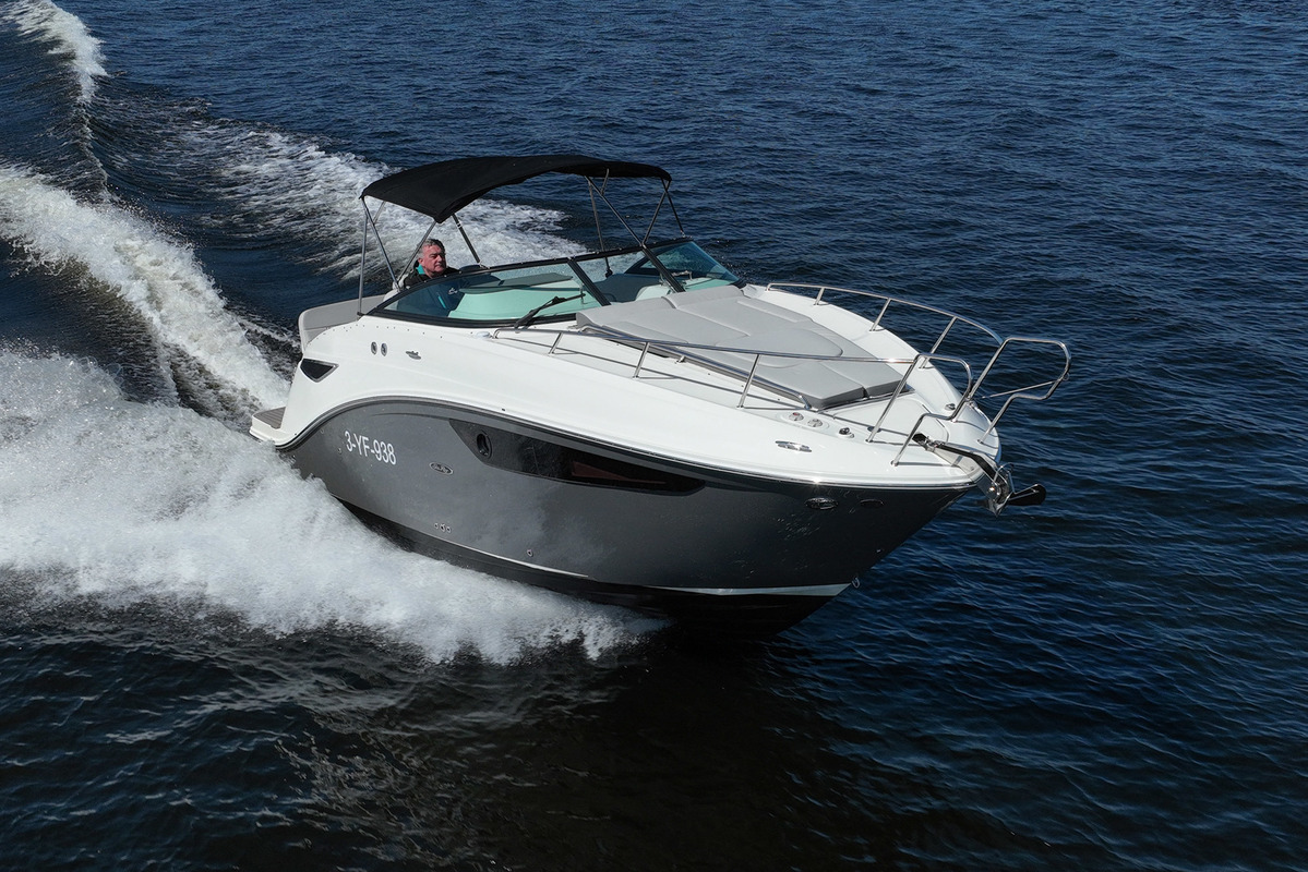 foto: 96 Sea Ray Sundancer 265
