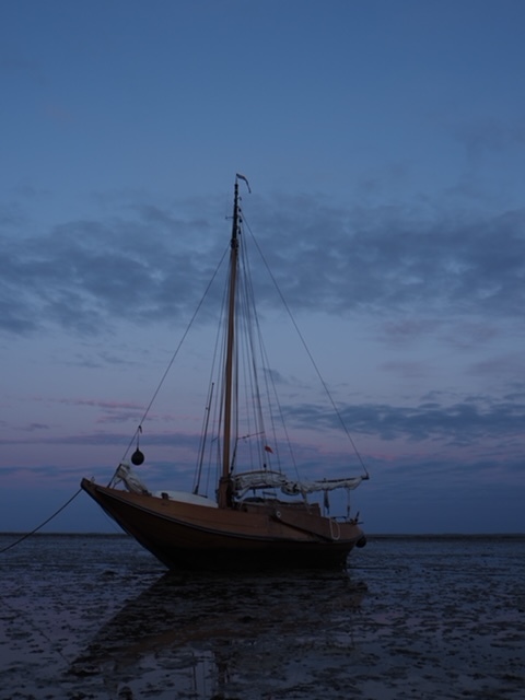 foto: 52 Hoogaars - Platbodem Jacht