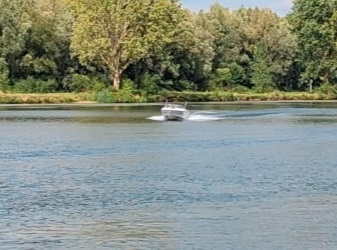 foto: 5 Montery   18ft 