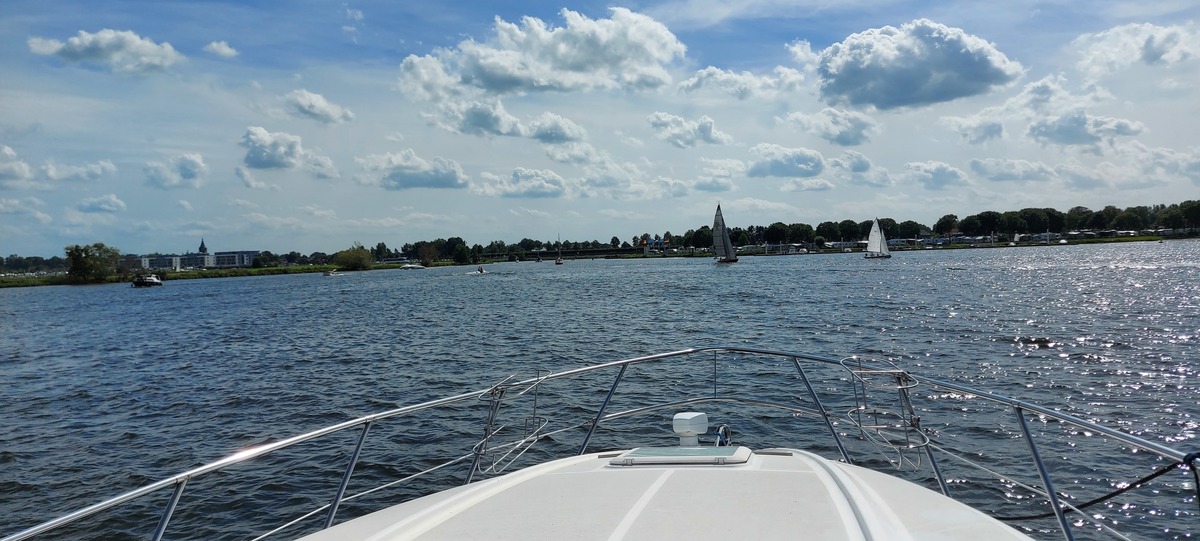 foto: 38 Bayliner 305