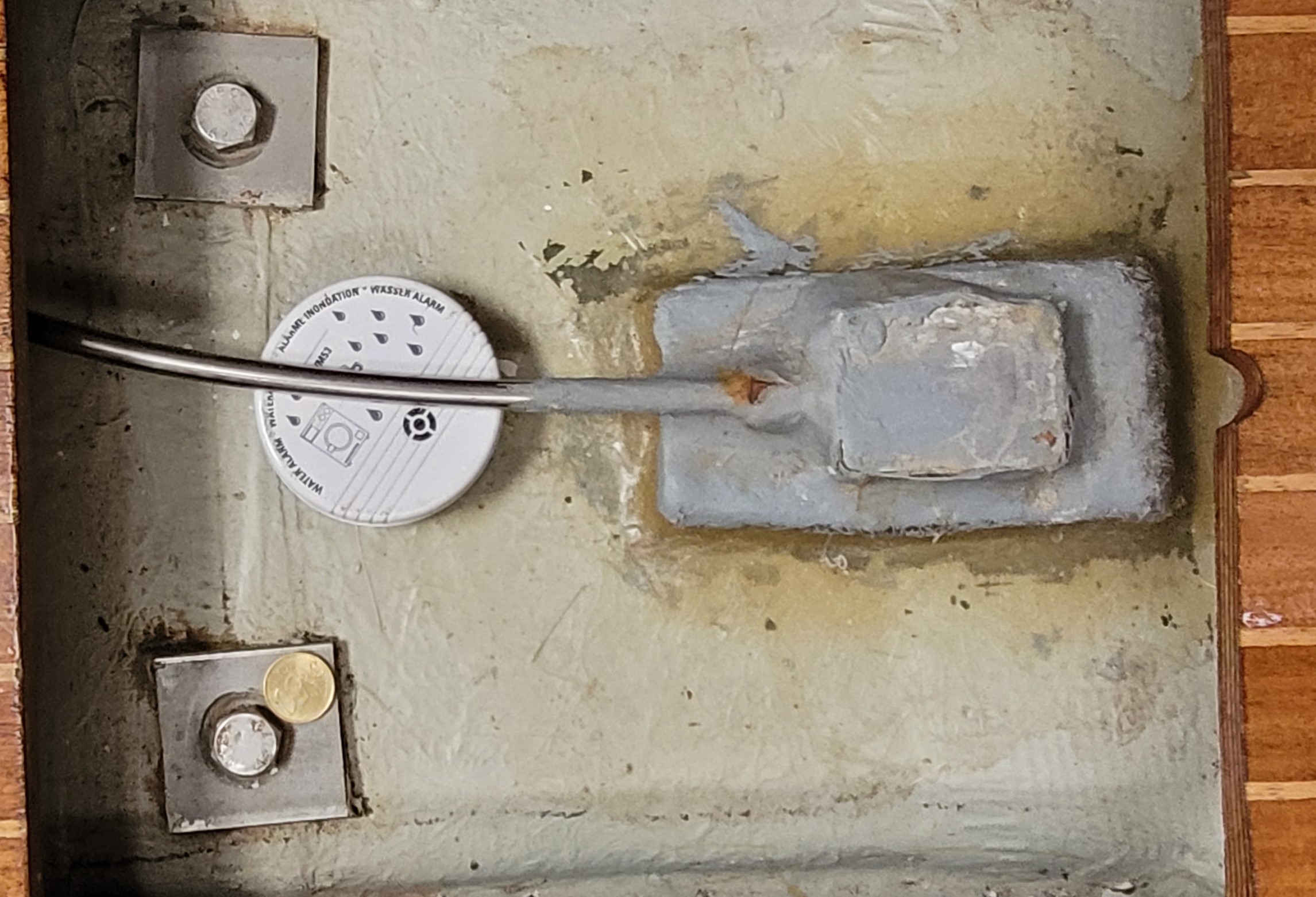 foto: 43 Bavaria 890