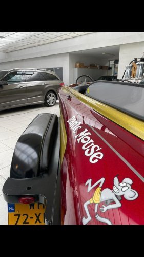 foto: 15 Sanger Panic Mouse