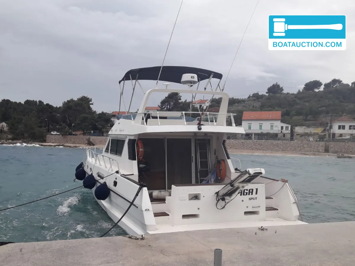 foto: 38 Piantoni 13 Fantasy